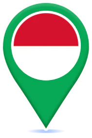 pin ina